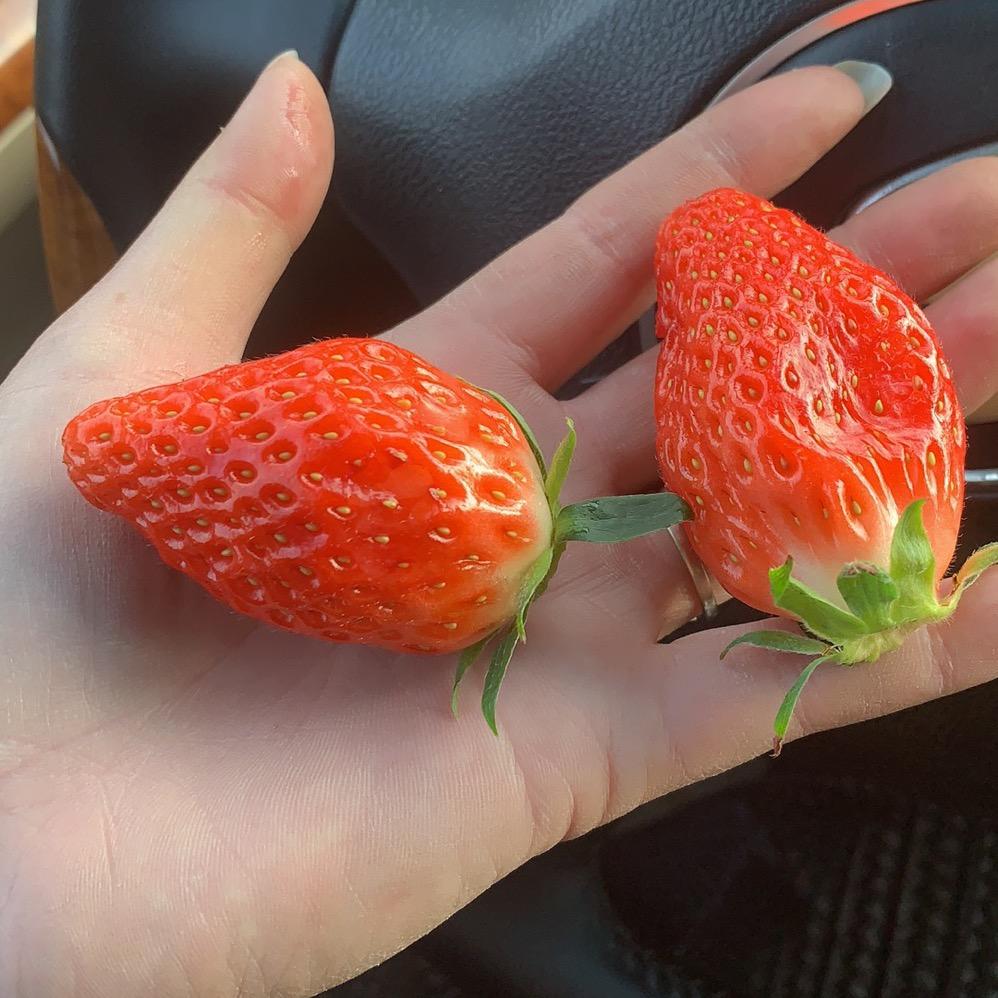 龙口市广顺二手车