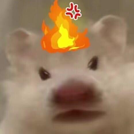 看什么看，我没有名字！