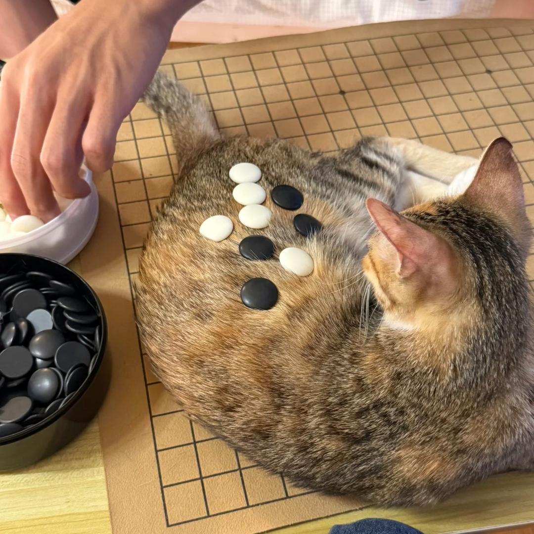 普生