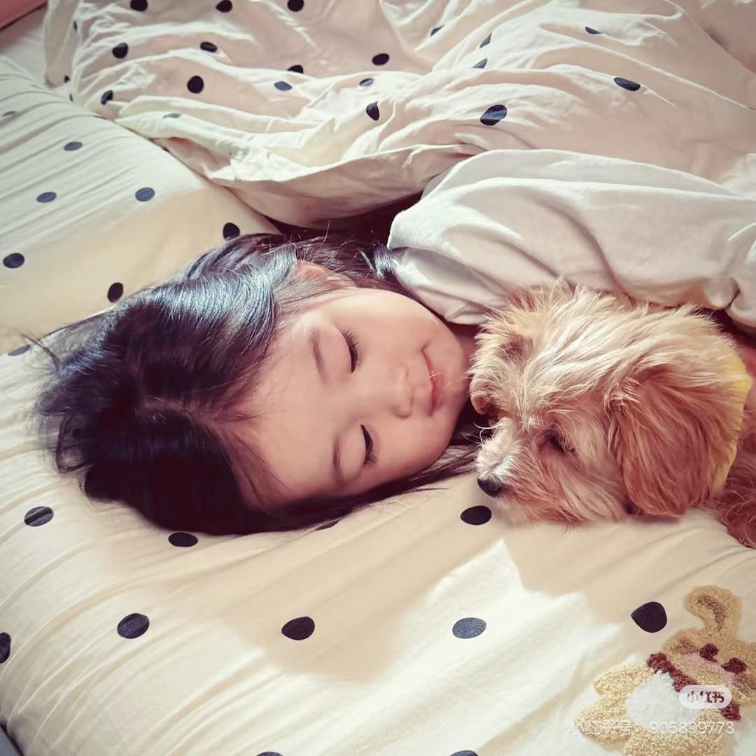 吃饭睡觉打豆豆