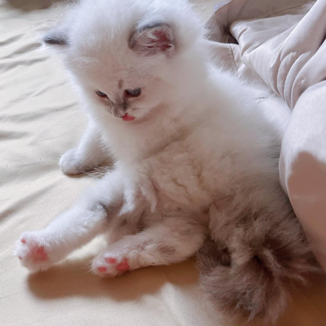 六一是女喵喵🐱