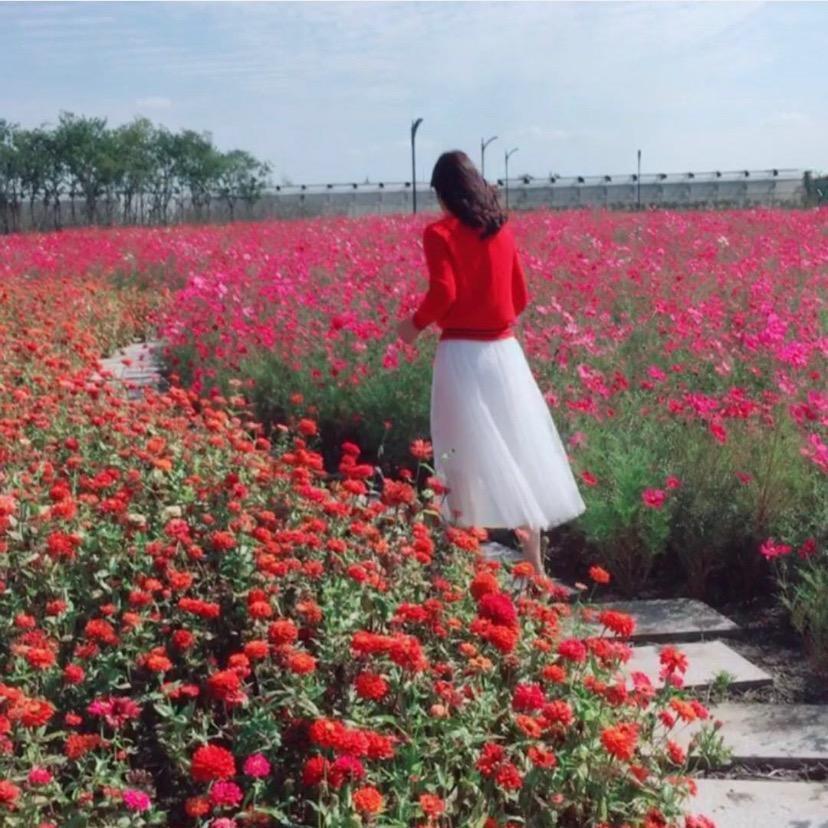 岁月静好（好物分享）@抖音