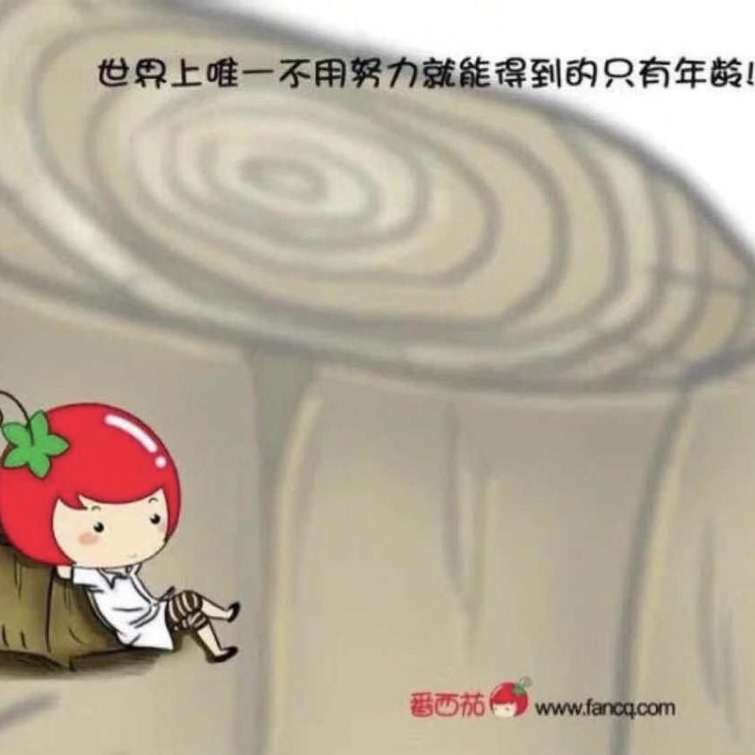 shuxinyiran
