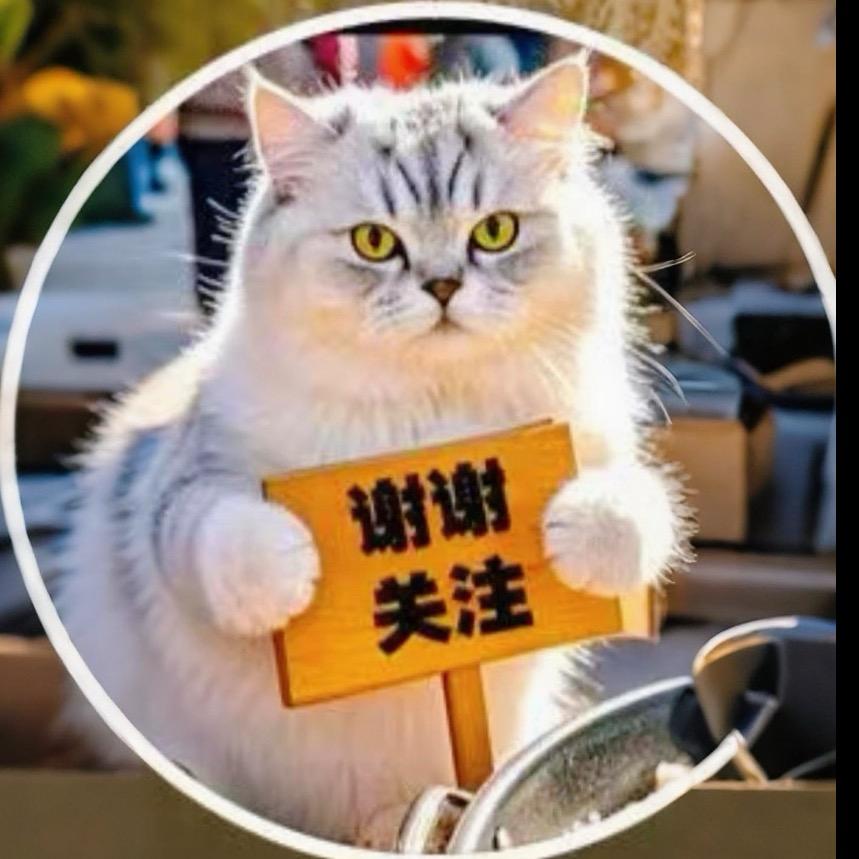 猫小猫