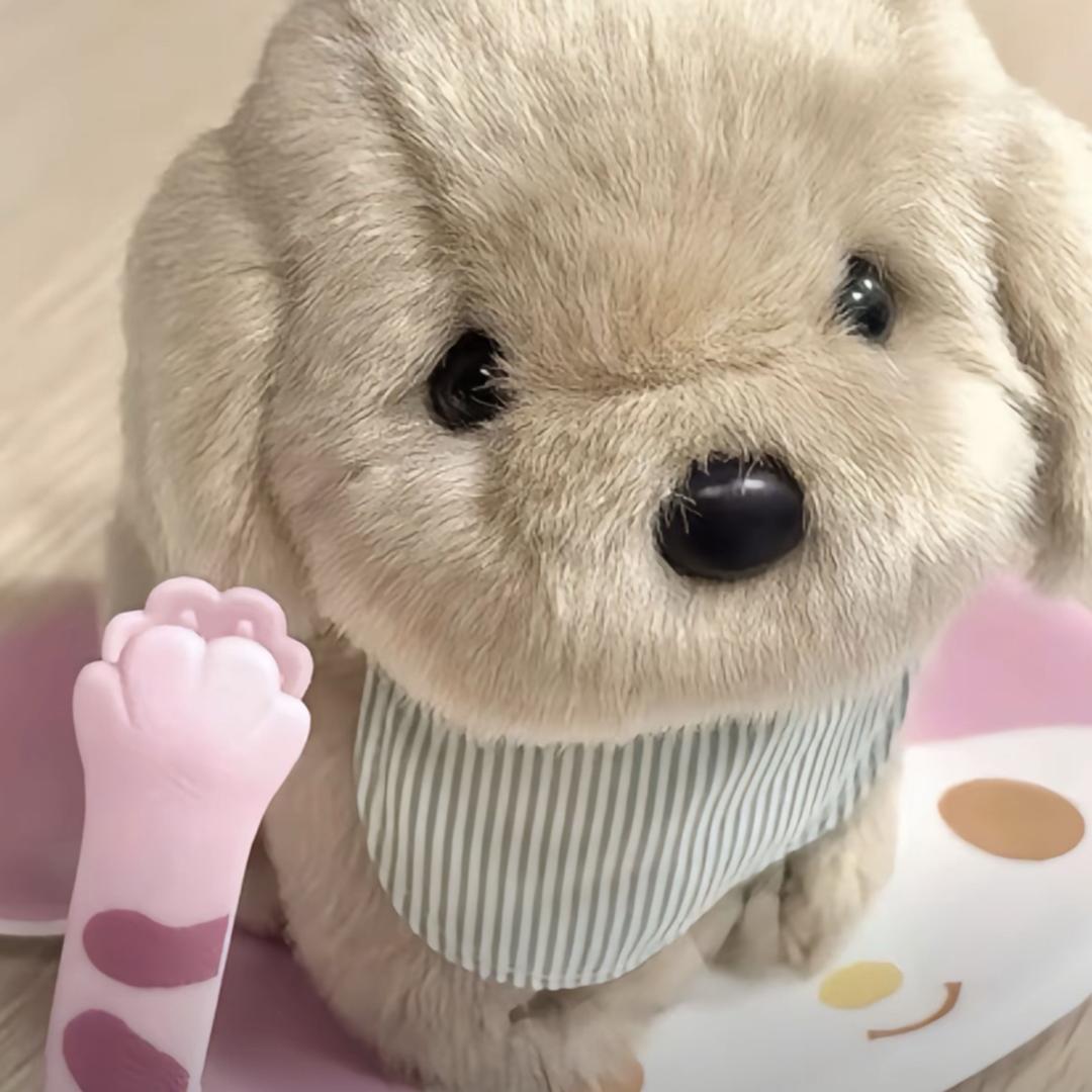 小住