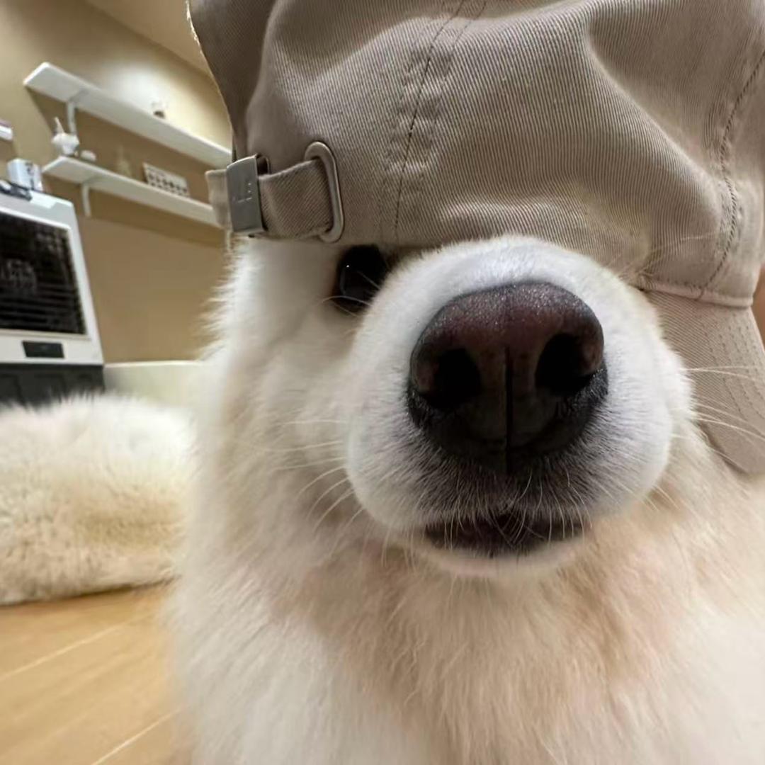 记得说好.