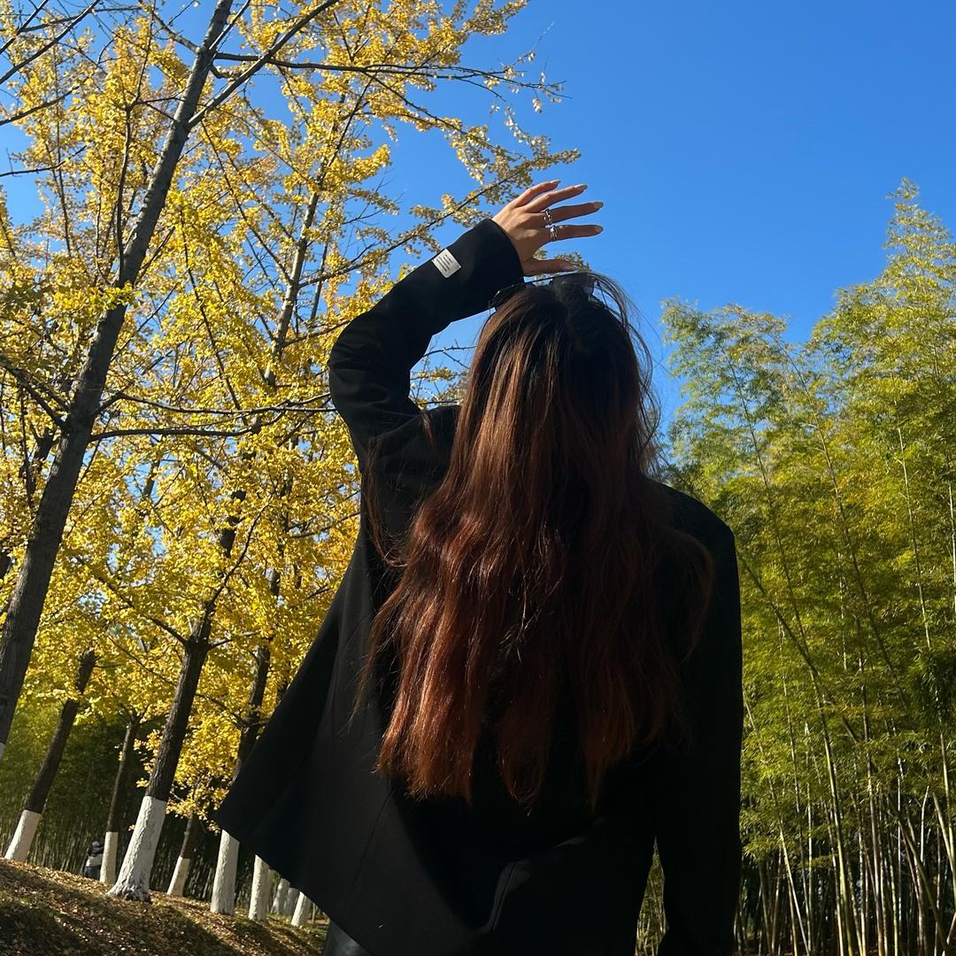 涵宝1208