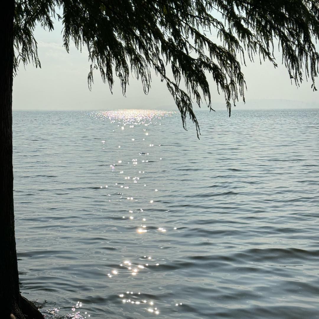 皮肤管理(按摩手法教学)