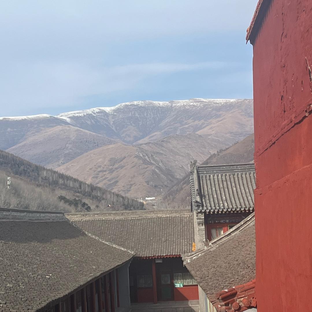 漠河市润山集珍品店
