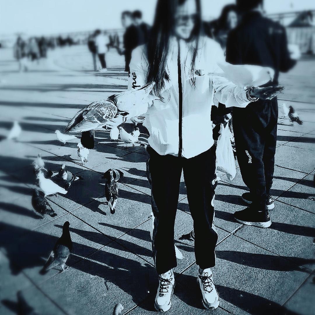 尐  🕊云云ˋ