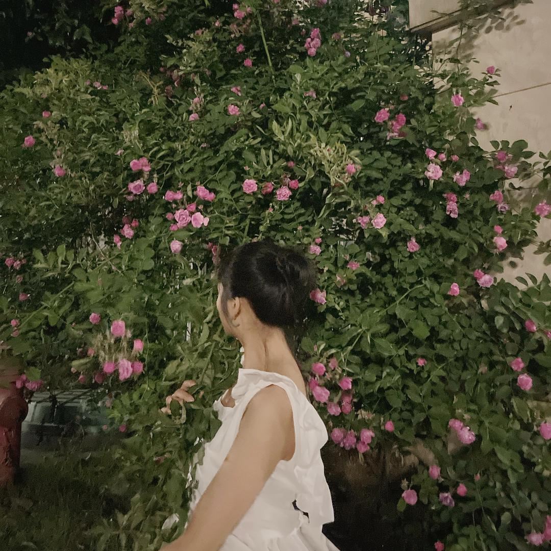 付小闵的花房日记