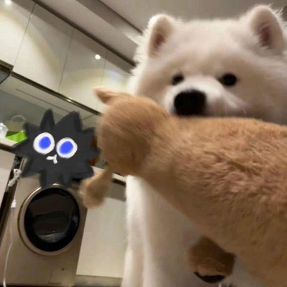 。ᅟᅠ        ‍