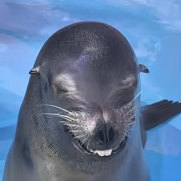 超雄抑郁症凌晨三点没憋住屎被胖丫护工暴打