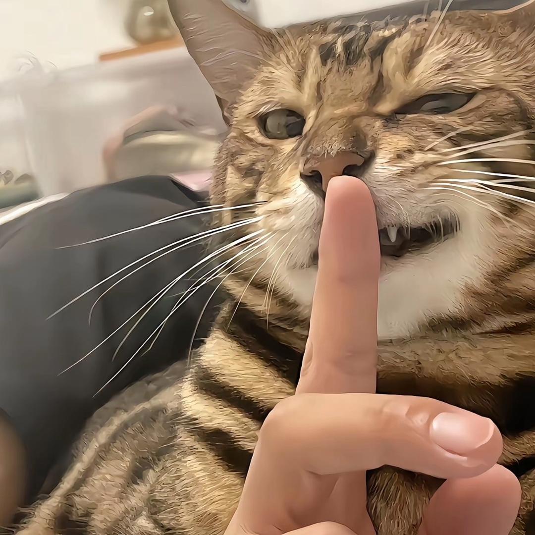 落荒