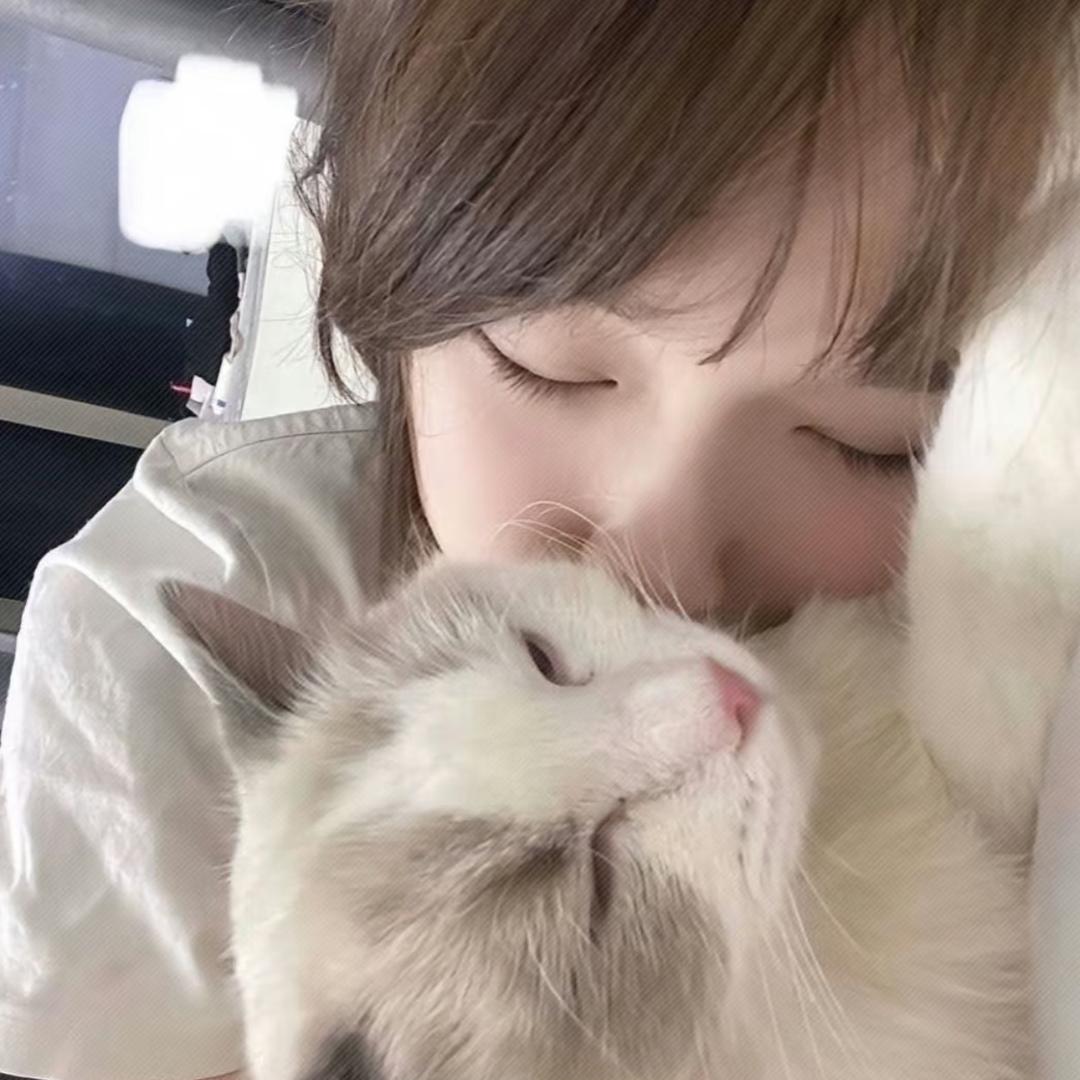 萌子别流泪🦫