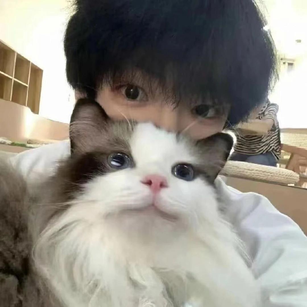 F文博