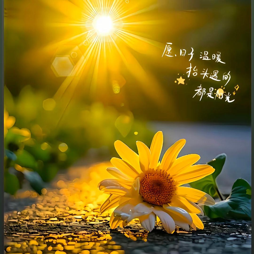 暖阳☀️