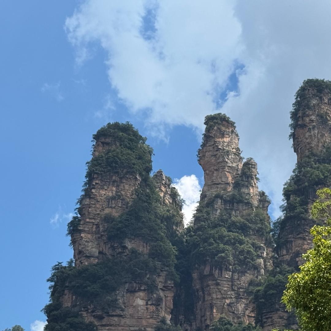 豁喇子的镜中世界