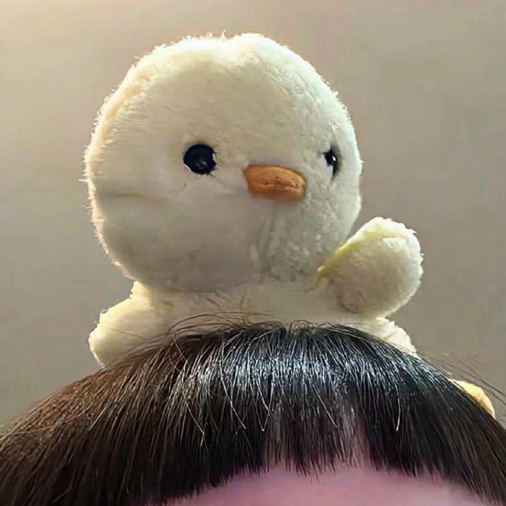 性感母蟑螂