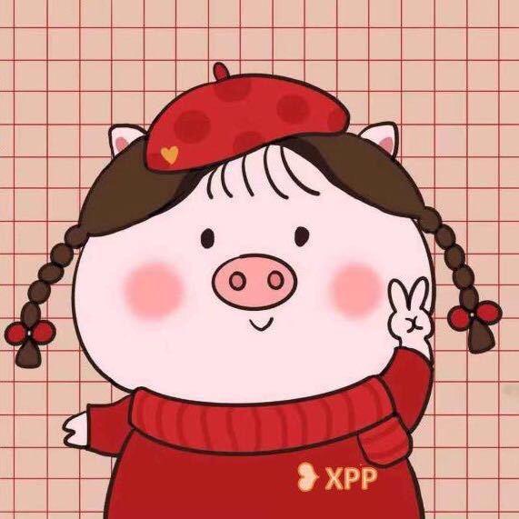pp美不美