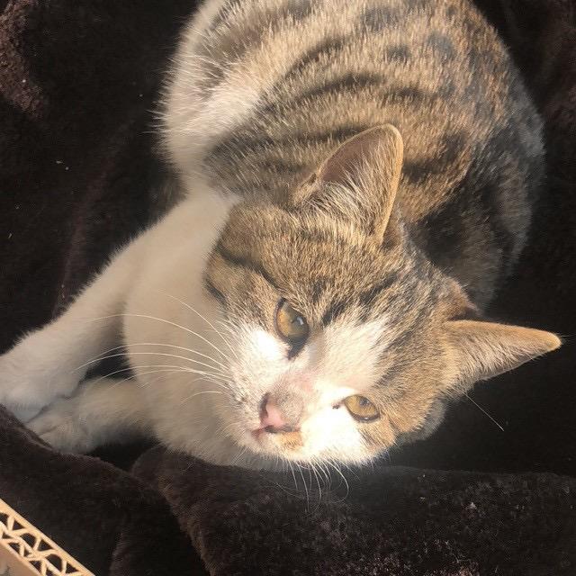 千色格包包铺子