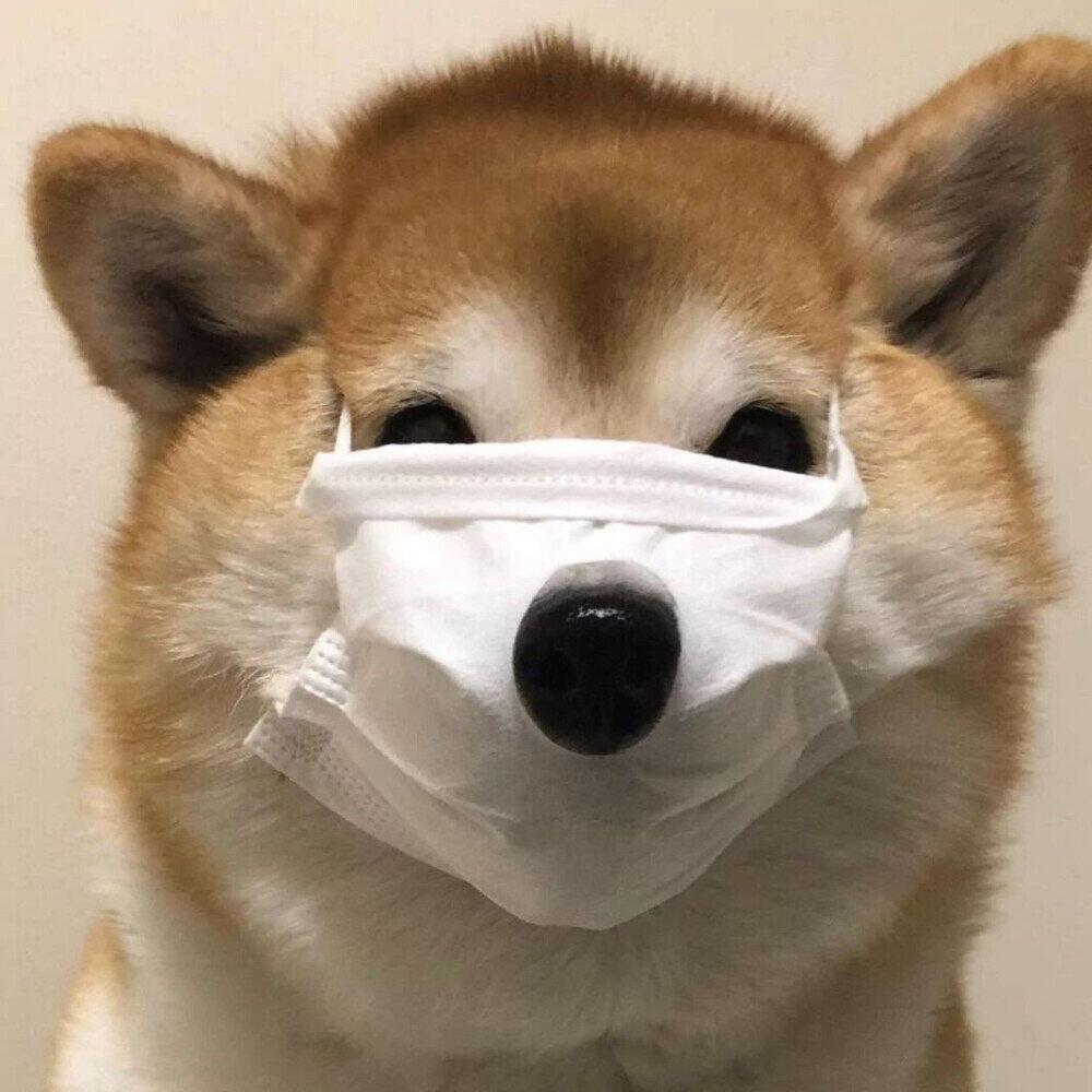 南城