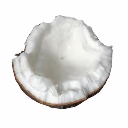 lzxx