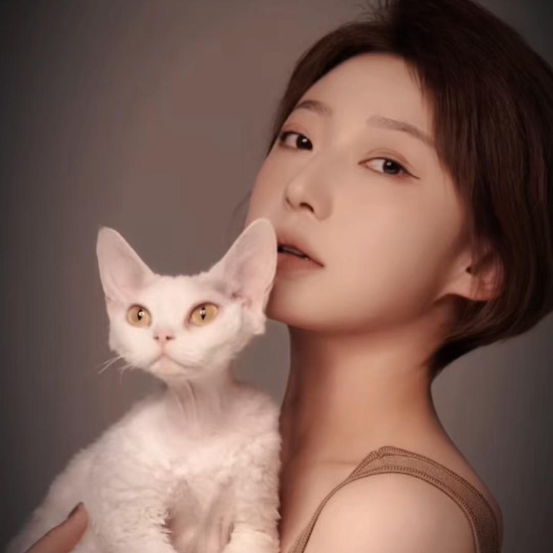 猫屿星河-小森德文卷毛猫