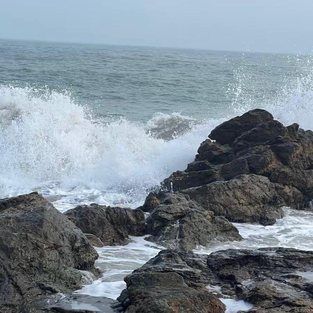 柠檬🍋🍋‍🟩