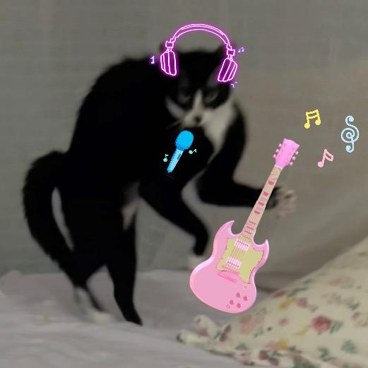 一只肥虾m