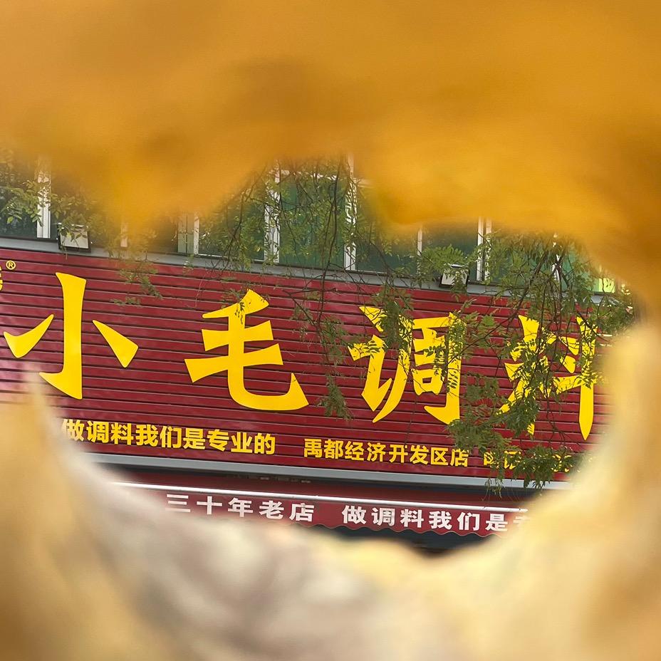 小毛调料