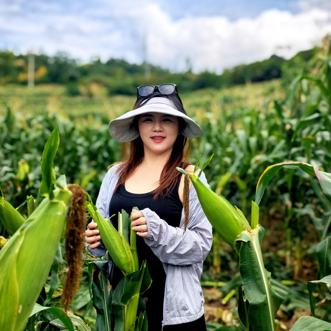 丹丹家玉米