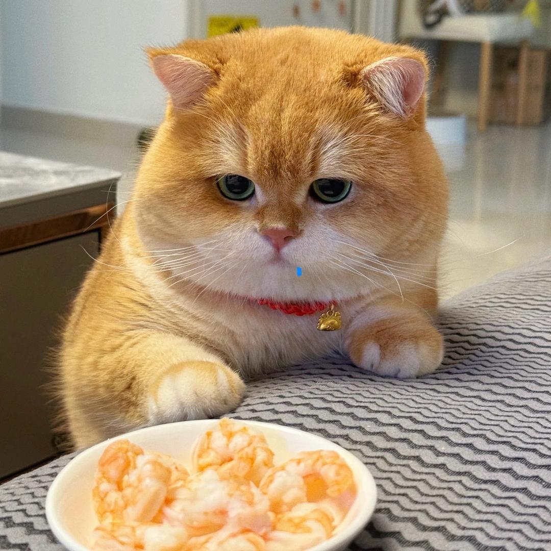 蓝觅.