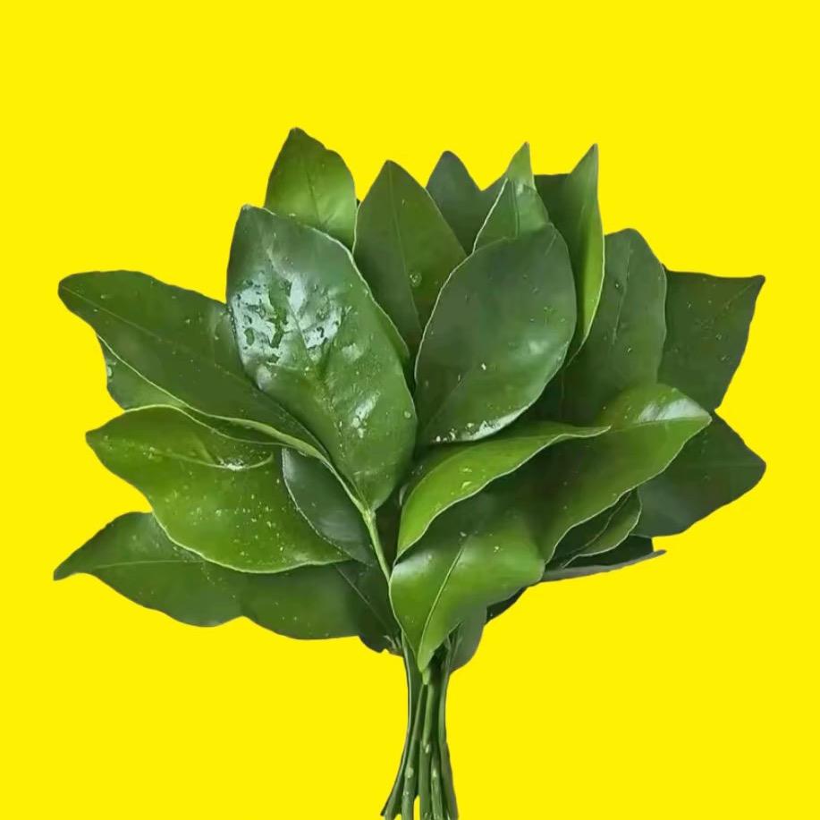 百惠🍀甄选