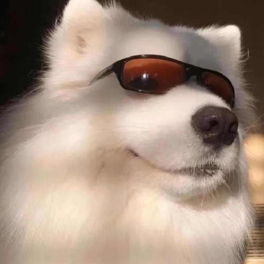 诸城迈阿密志浩