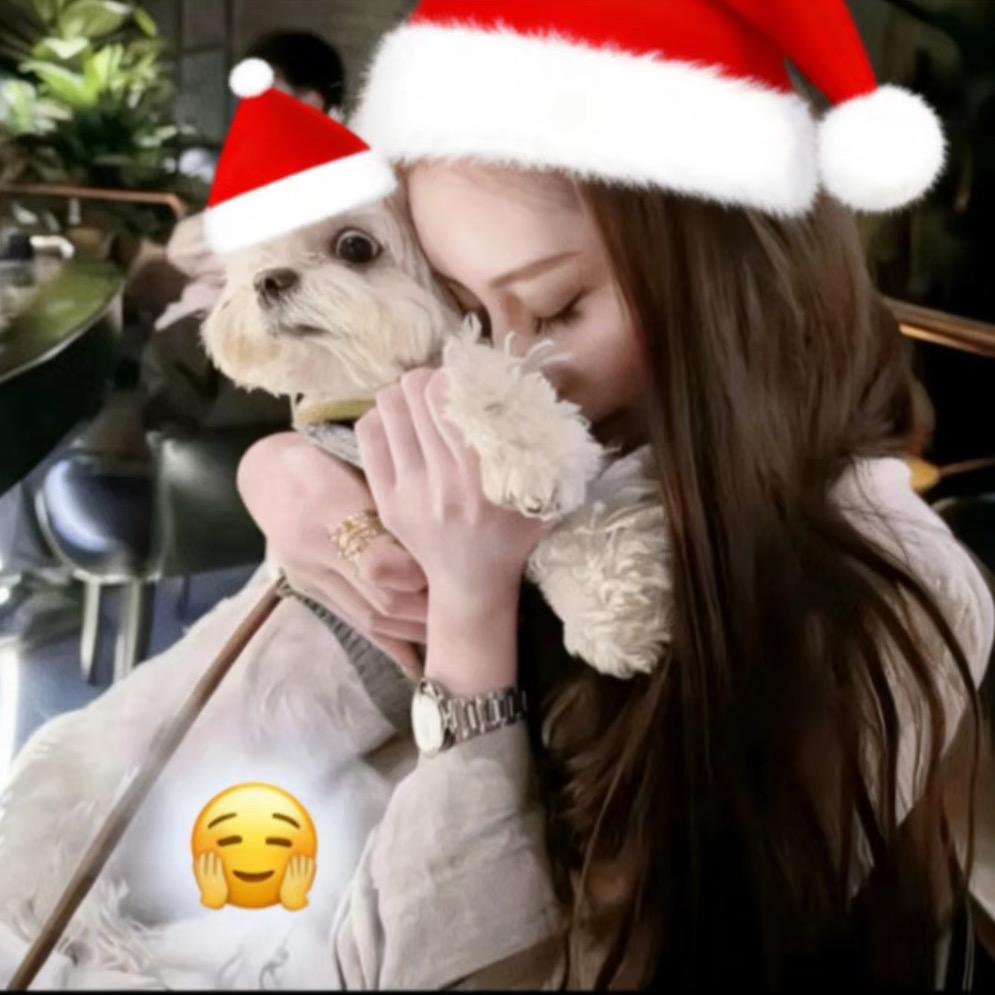 𝗥𝗮𝗯𝗶𝘁𝟰𝗘𝘃𝗮