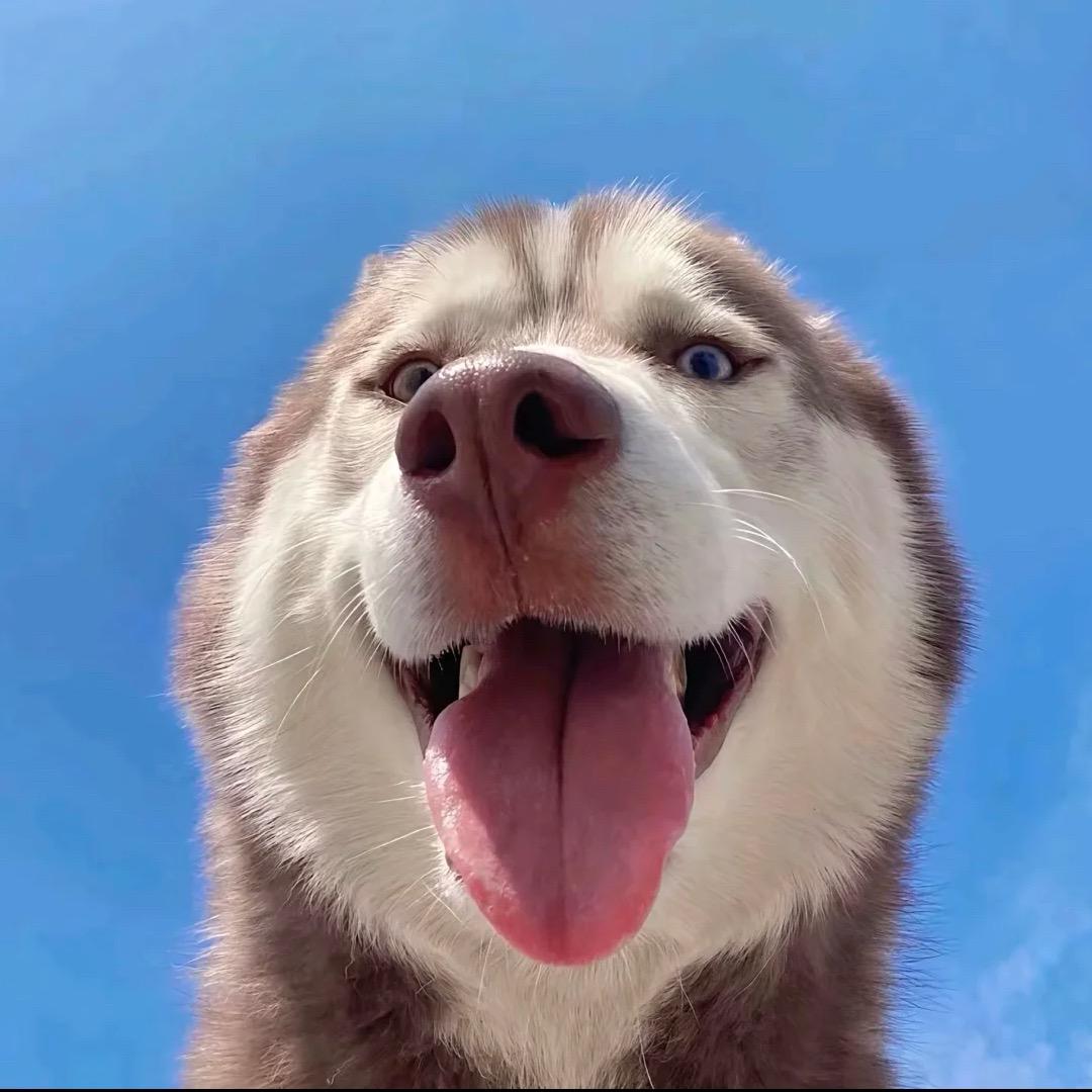 俺不中嘞