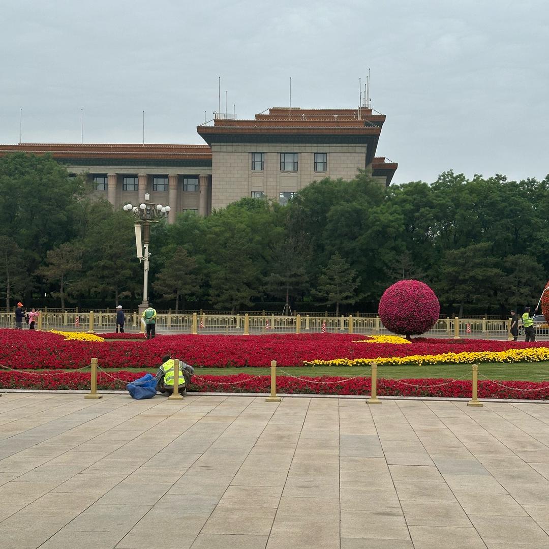 奔跑的大鹅