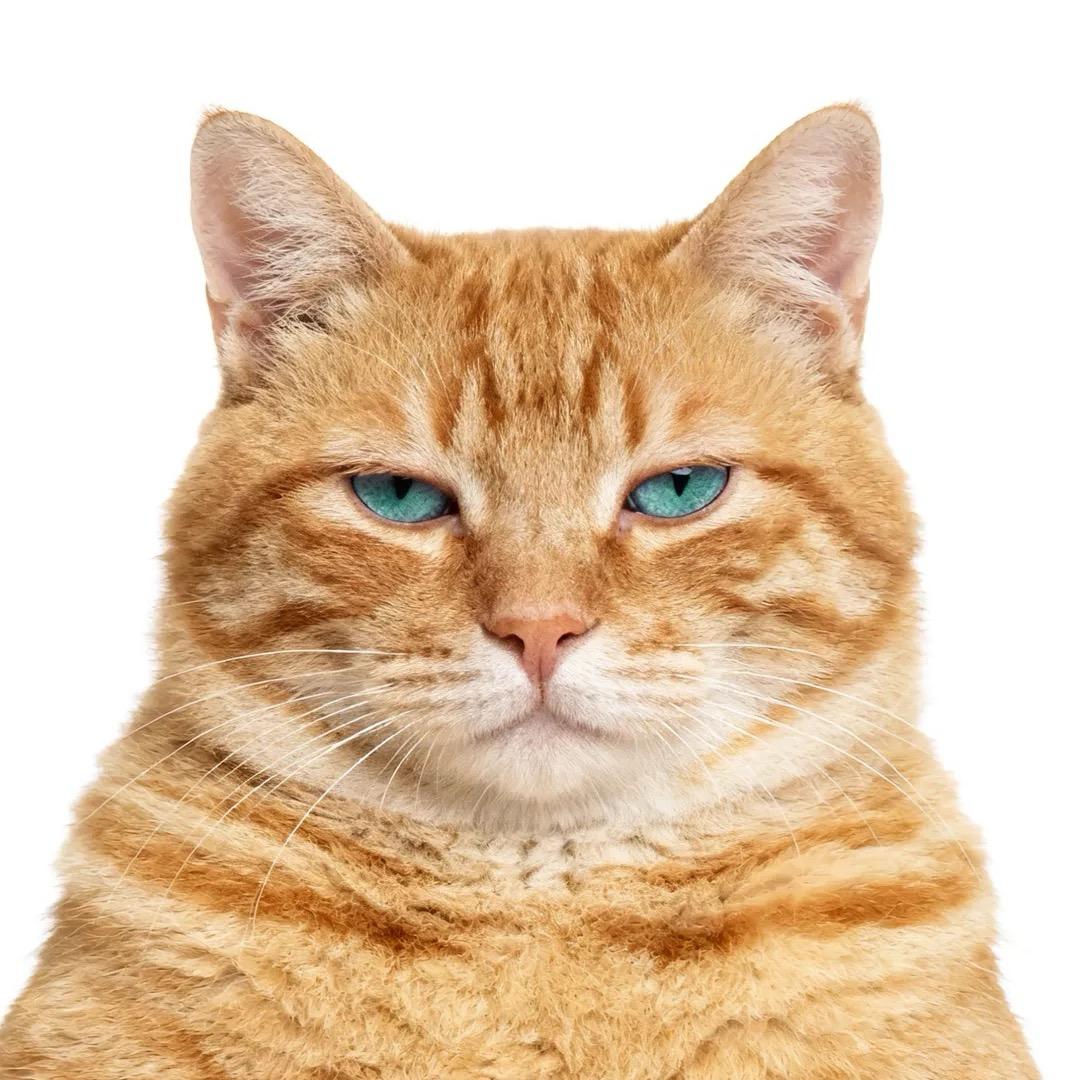 䲜䲜䲜䲜䲜䲜䲜䲜䲜䲜䲜䲜䲜䲜䲜䲜䲜䲜䲜䲜