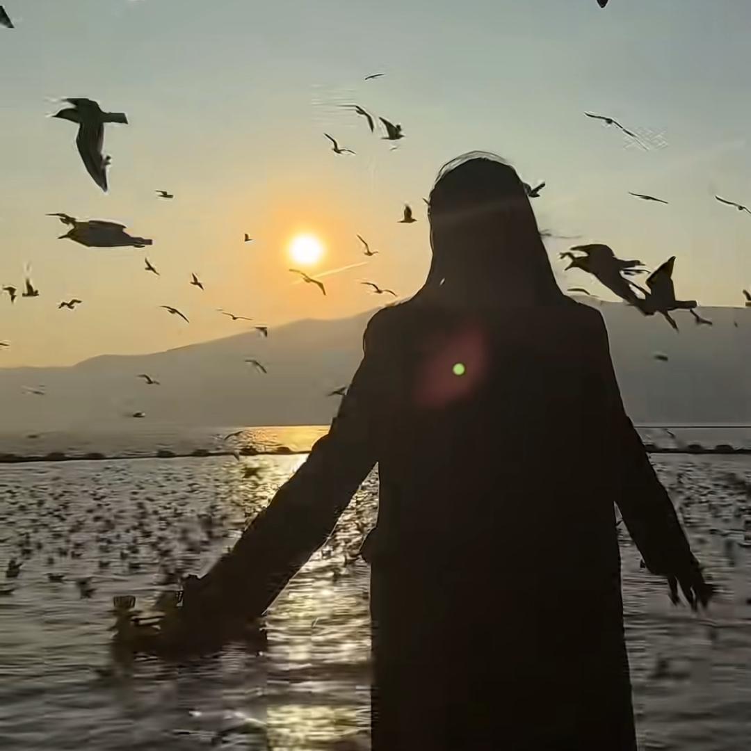 邹末