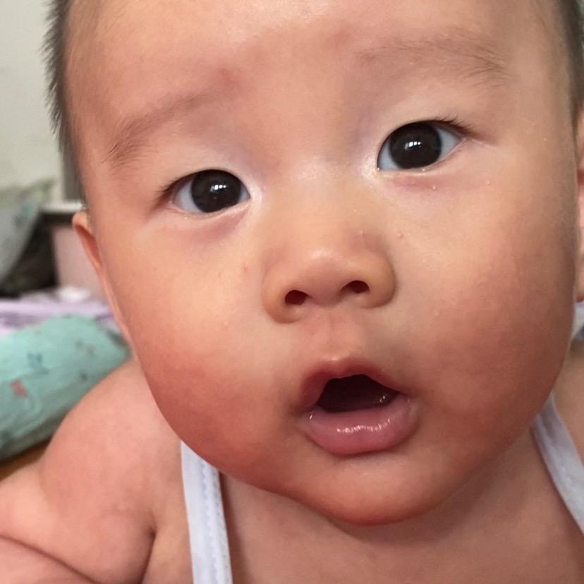 桉桉来啦