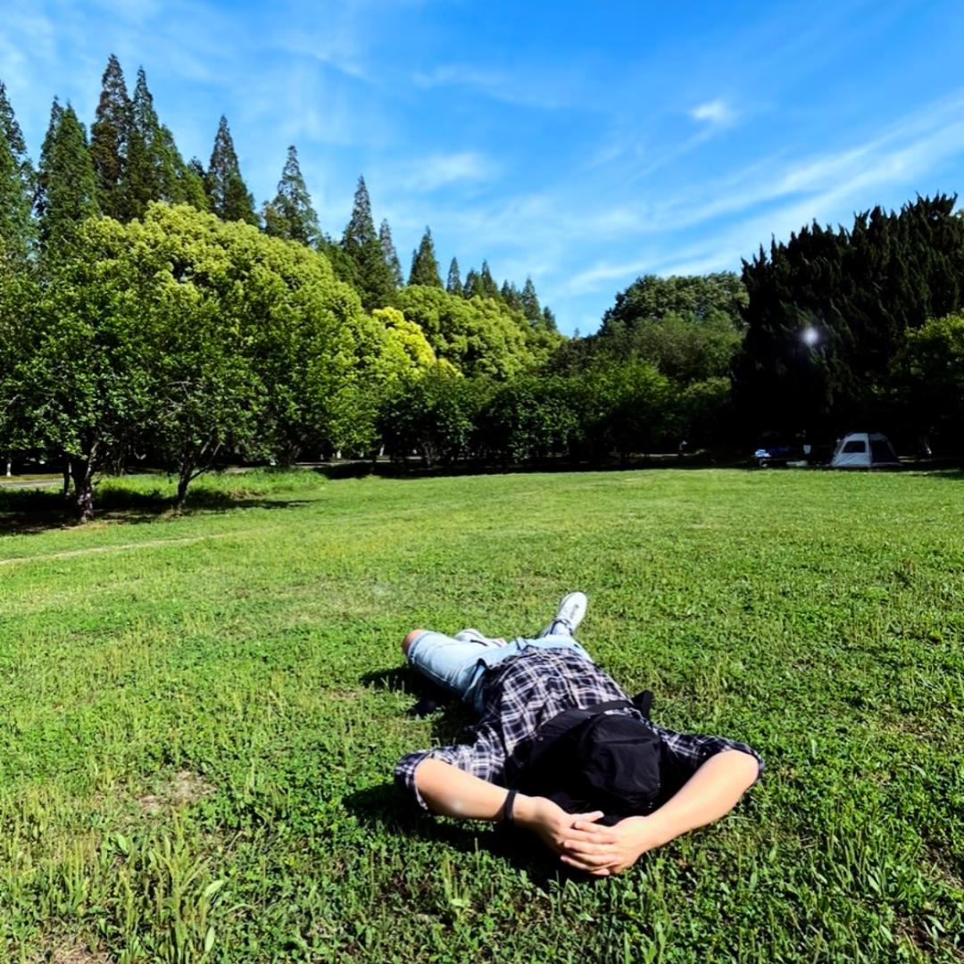 哦豁