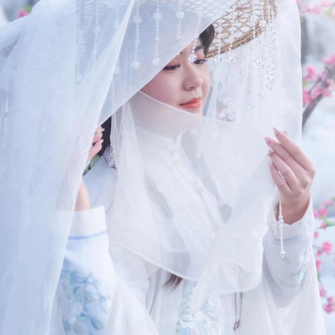 踏雪寻梅