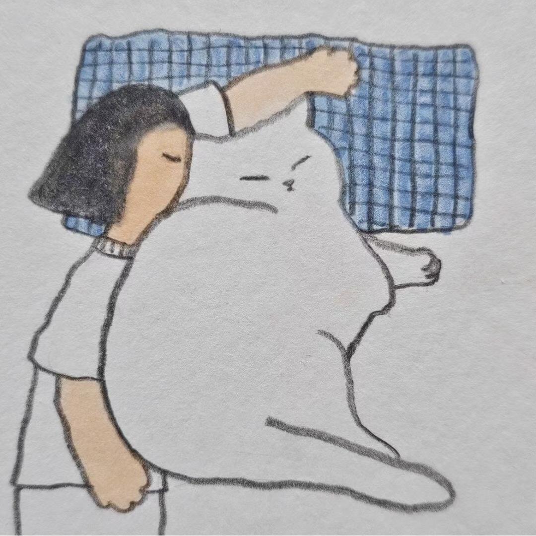 粥z
