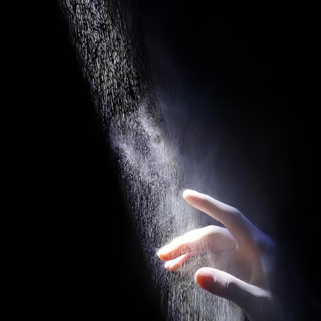 ✨             🐟