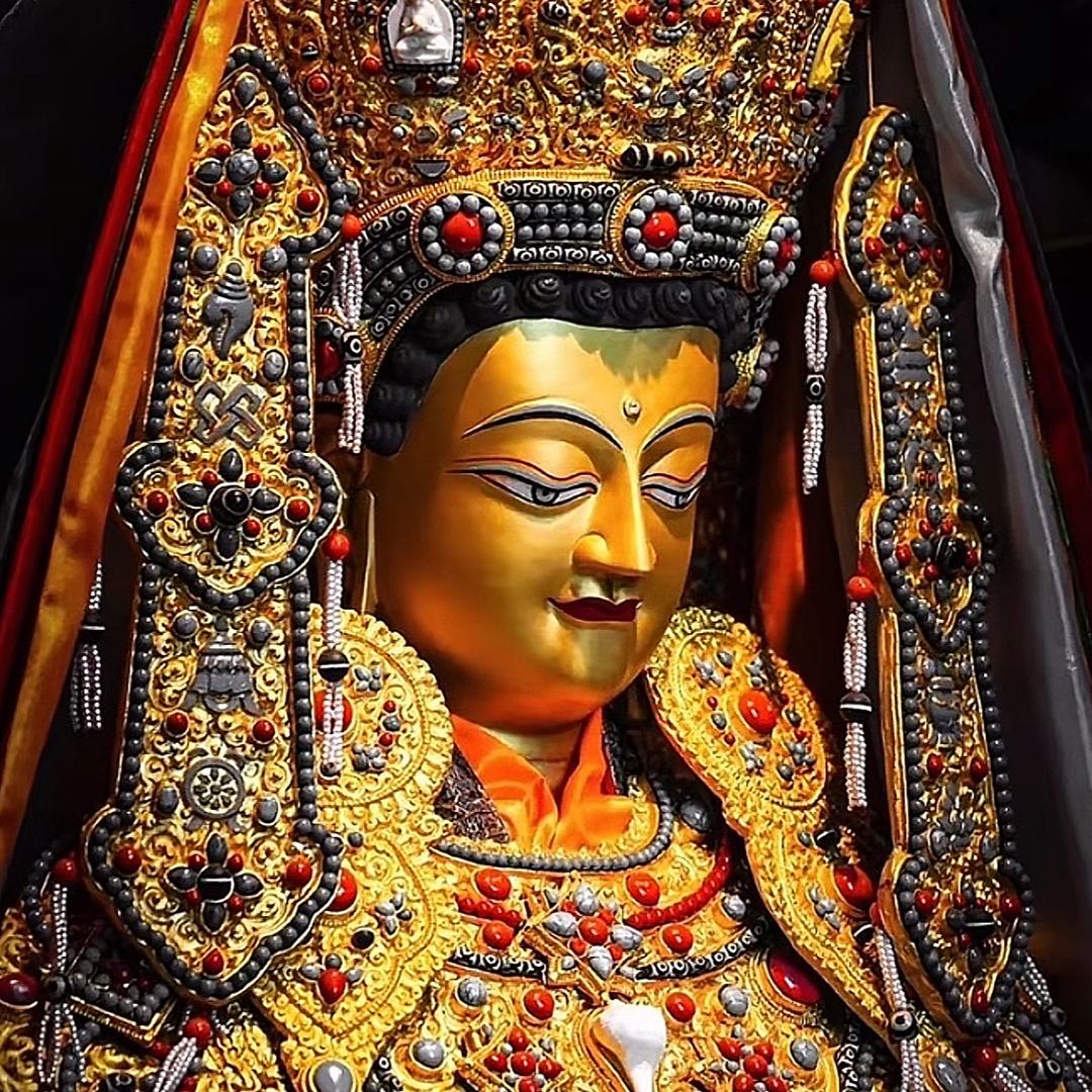 𝕥ꪖꪊ𝕣ꪊડ𖠅