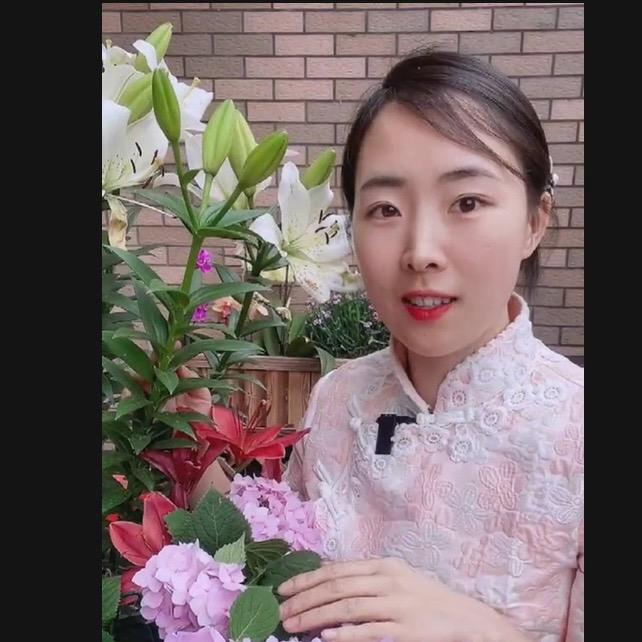 叶子花卉园艺