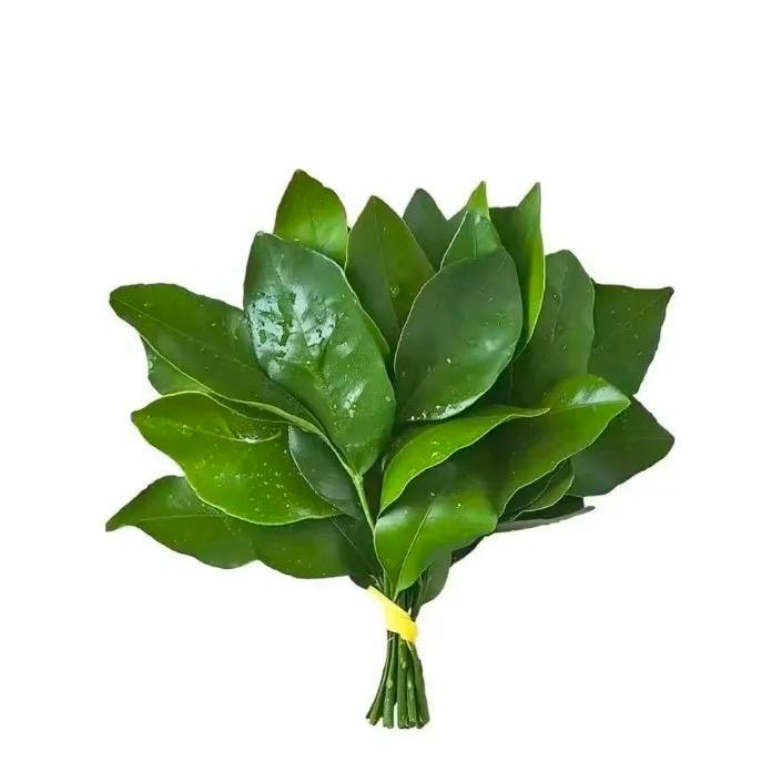 在雨后