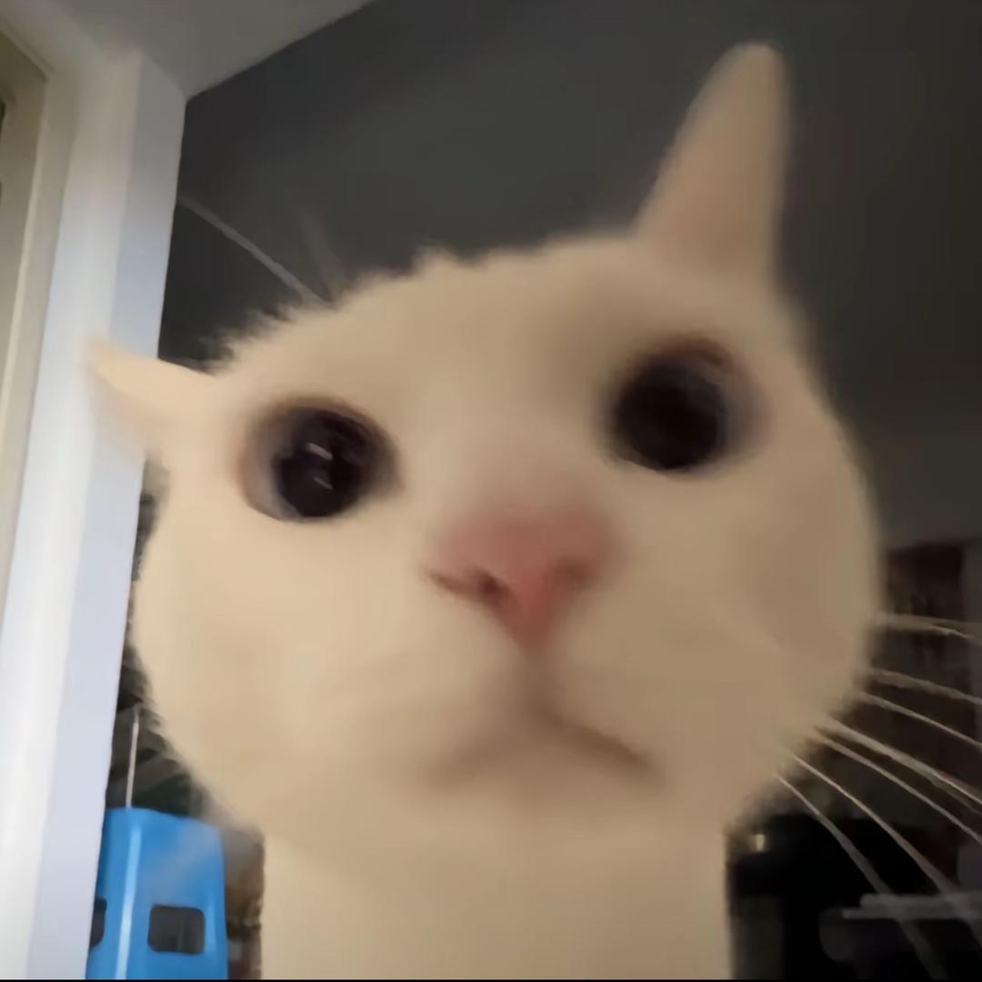 卖萌被打掉两颗大门牙