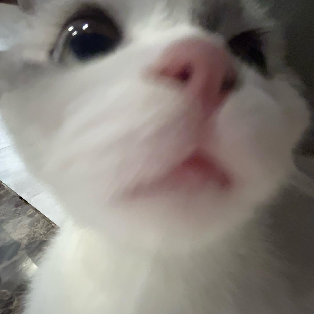 喝酒呀